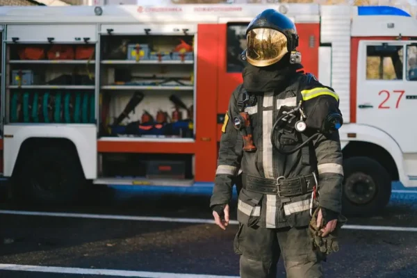 Usunięcie gniazda owadów błonkoskrzydłych w Borzyszewie