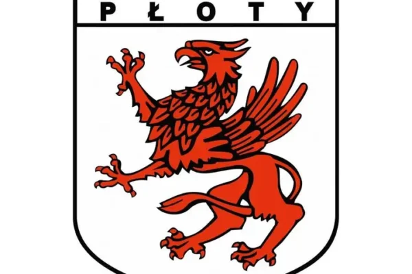 Dożynki Powiatowo-Gminne w Brojcach: święto plonów i lokalnej tradycji