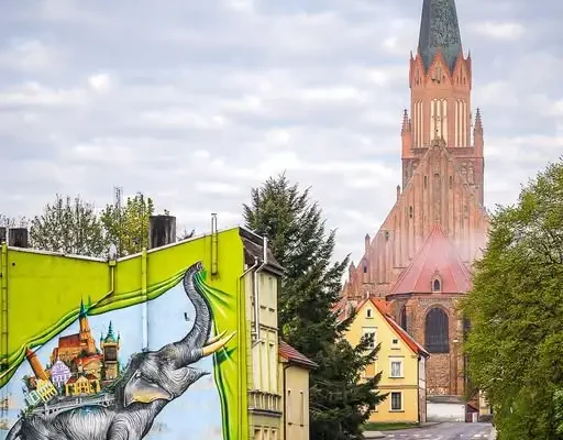 Słonica Hansken wita w Trzebiatowie – mural i Szlak Słonia