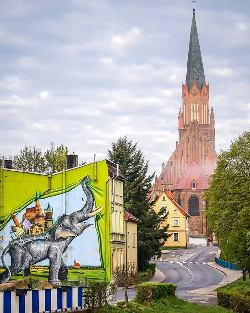 Słonica Hansken wita w Trzebiatowie – mural i Szlak Słonia