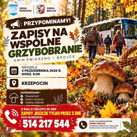 Ostatnie dni na zapisy na wspólne grzybobranie w Gminie Brojce