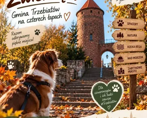 Światowy Dzień Zwierząt w Trzebiatowie – spacery i miska wody dla pupili